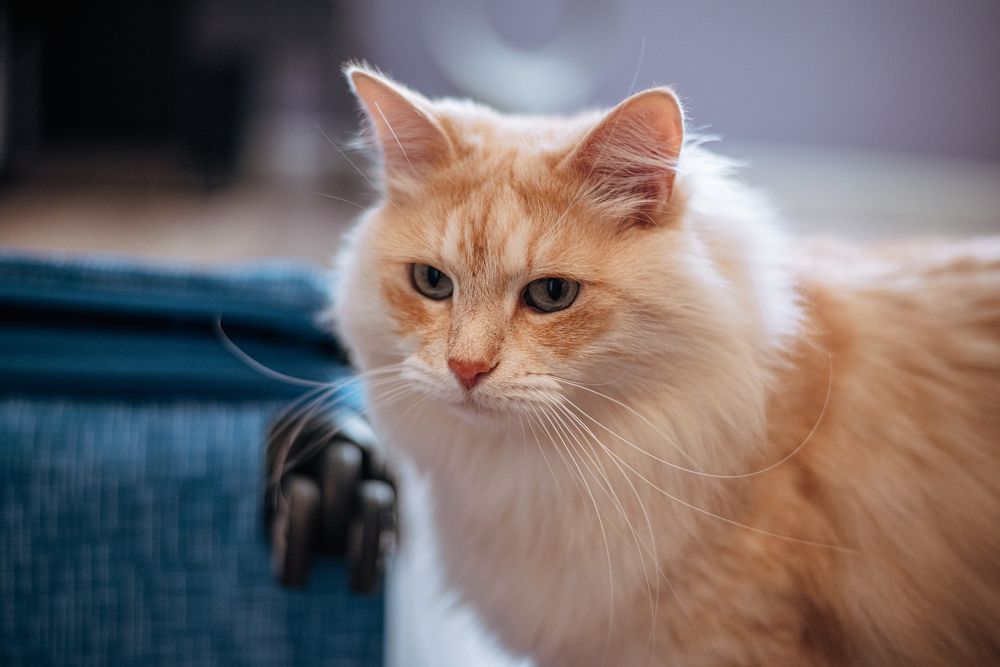 Photograph by Anna Vlasova