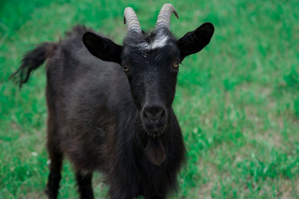 Photograph by Александра Лукашевич