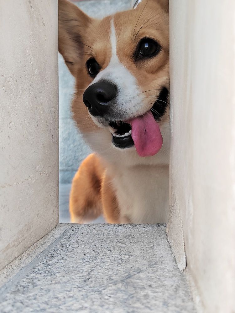 Photograph by Светлана Смирнова