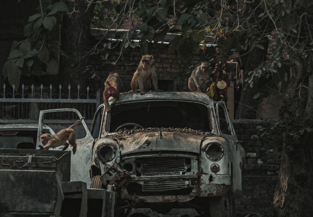 Photograph by Abhinav Yadav