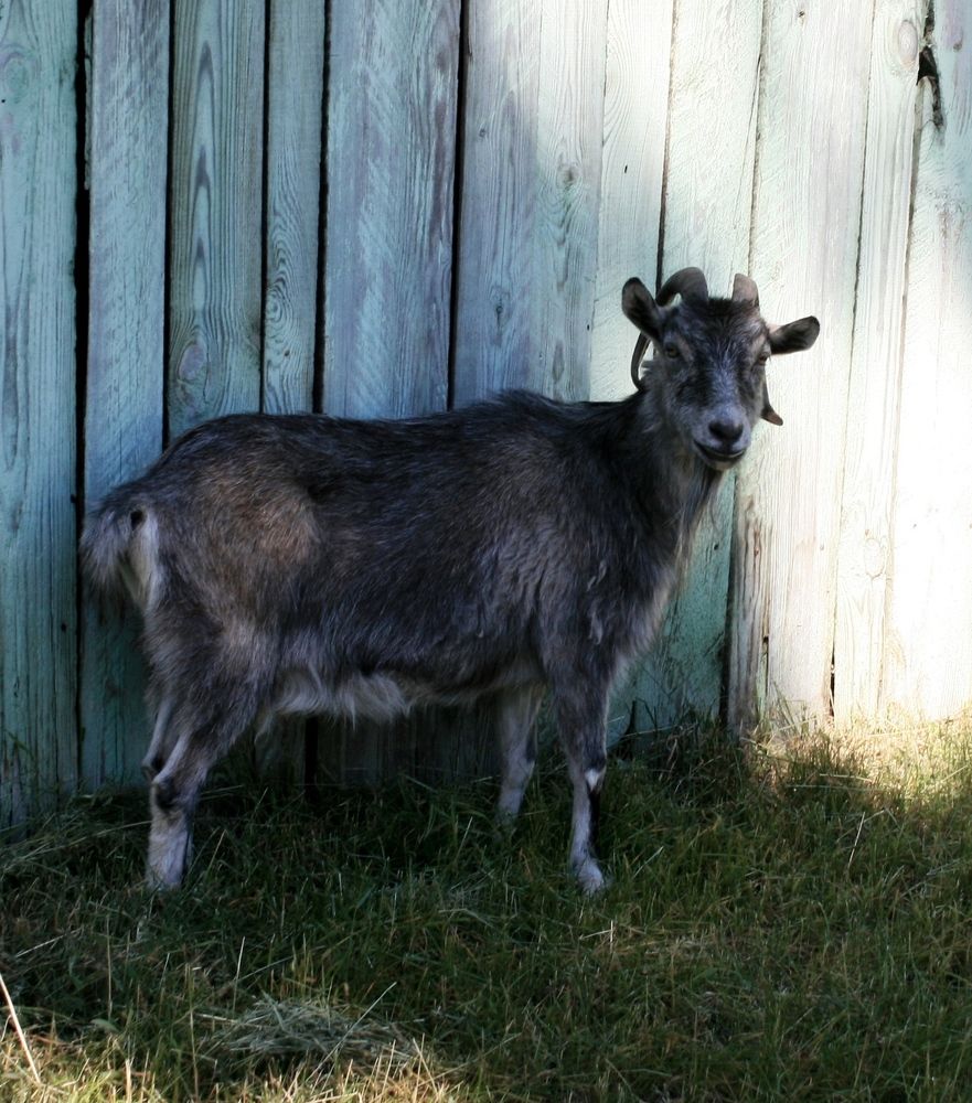 Photograph by Кунц