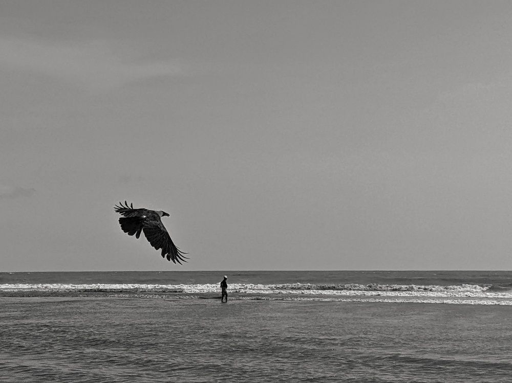 Photograph by Araful Hoque