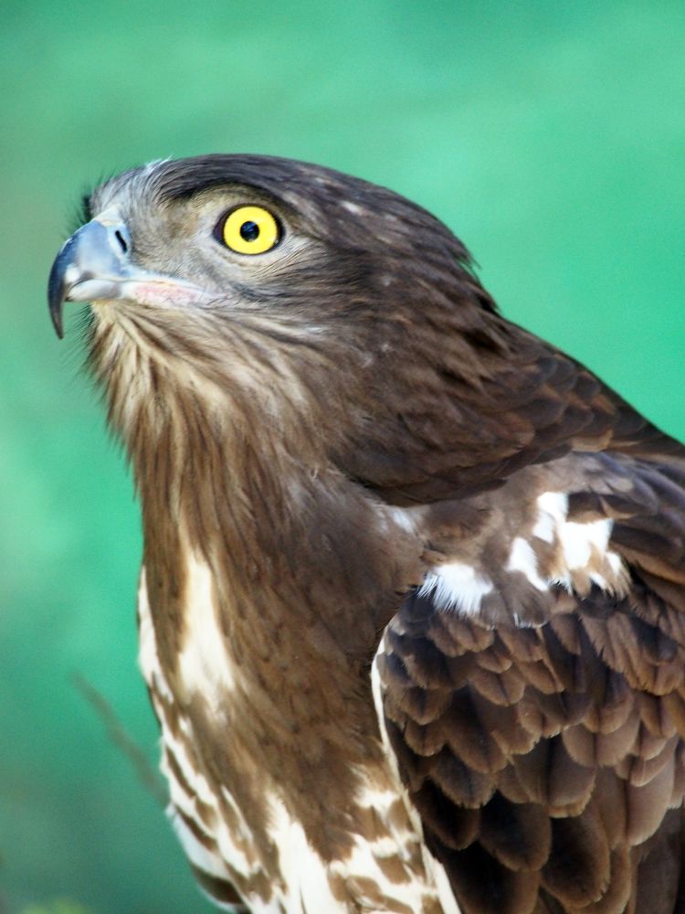 Photograph by Abdolreza Aleagha