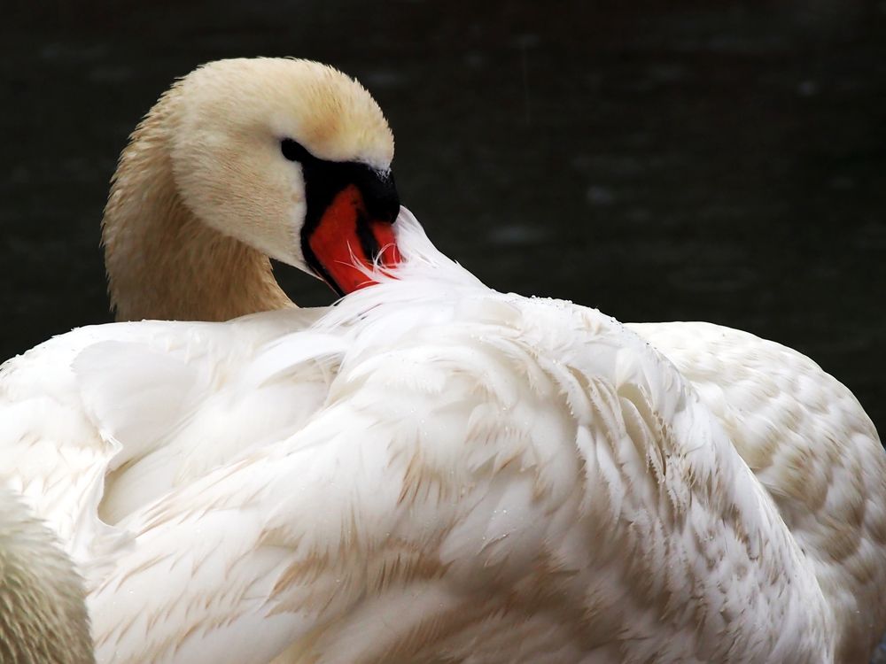 Photograph by Abdolreza Aleagha