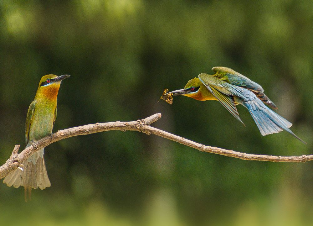 Photograph by Shibanjan Saha