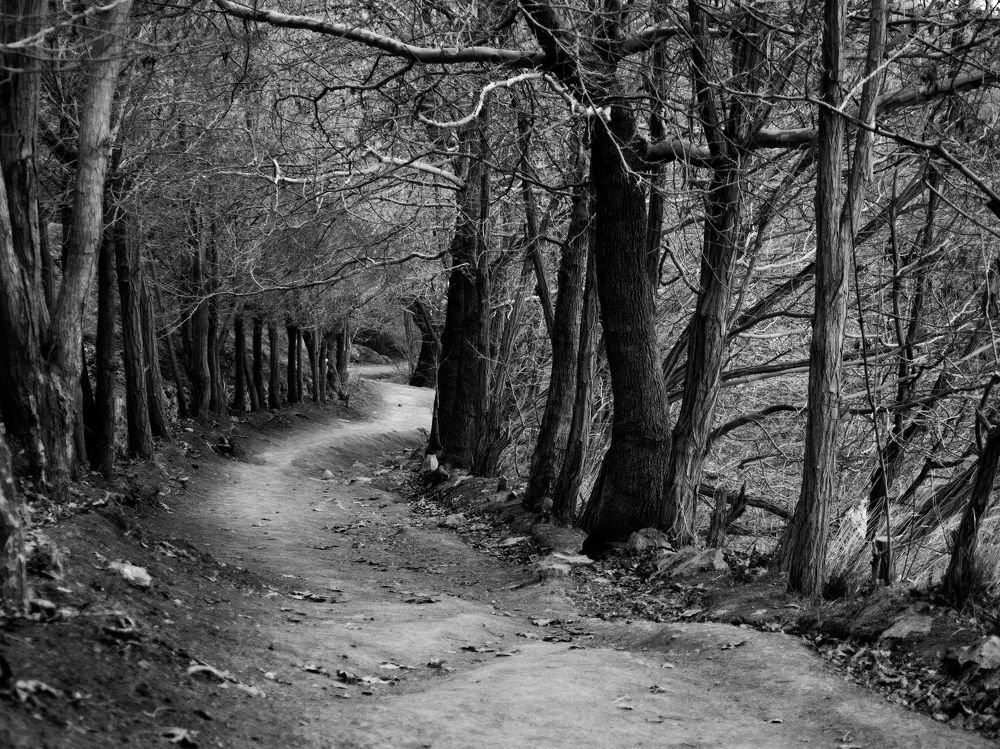 Photograph by Abdolreza Aleagha