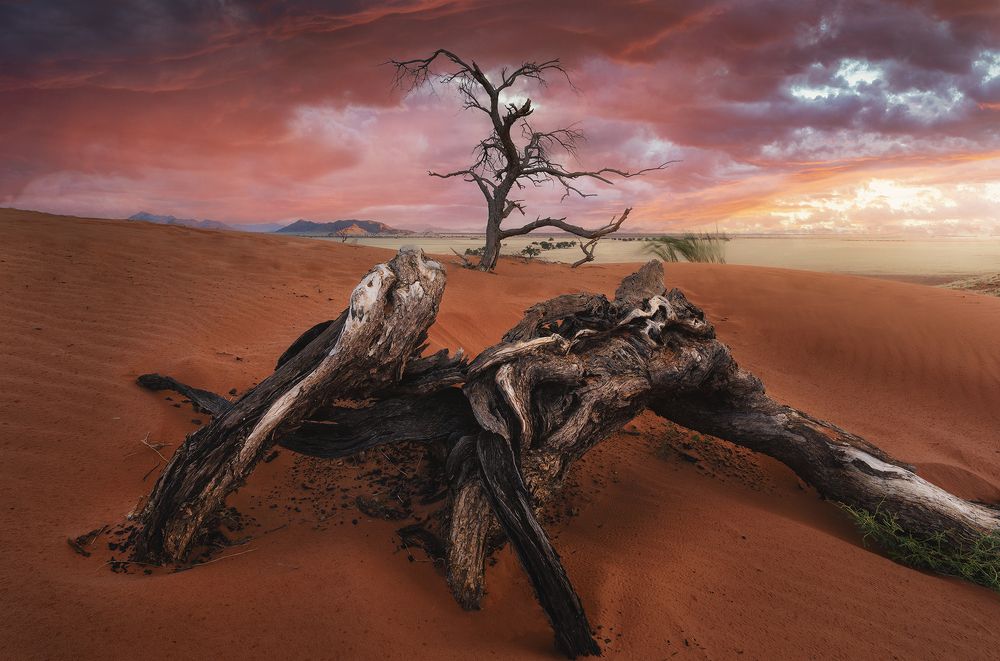 Photograph by José David Riquelme