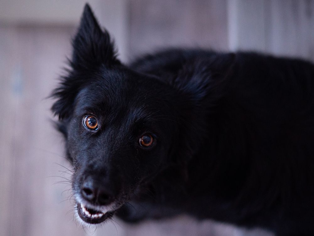 Photograph by Anna Vlasova