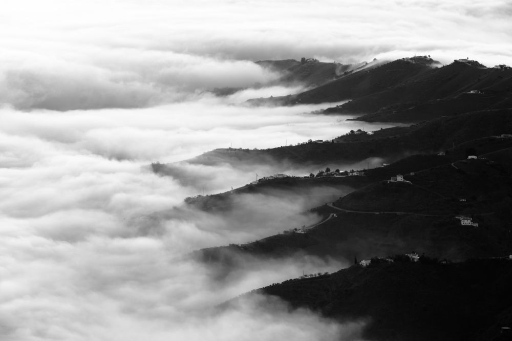 Photograph by Gary Browne