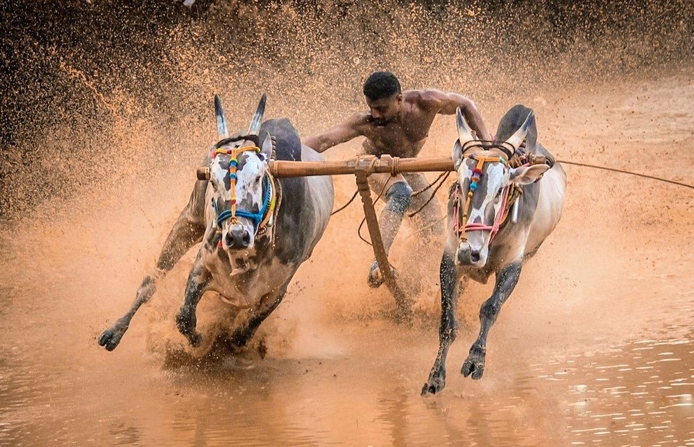 Photograph by Beneesh Paruthikkad