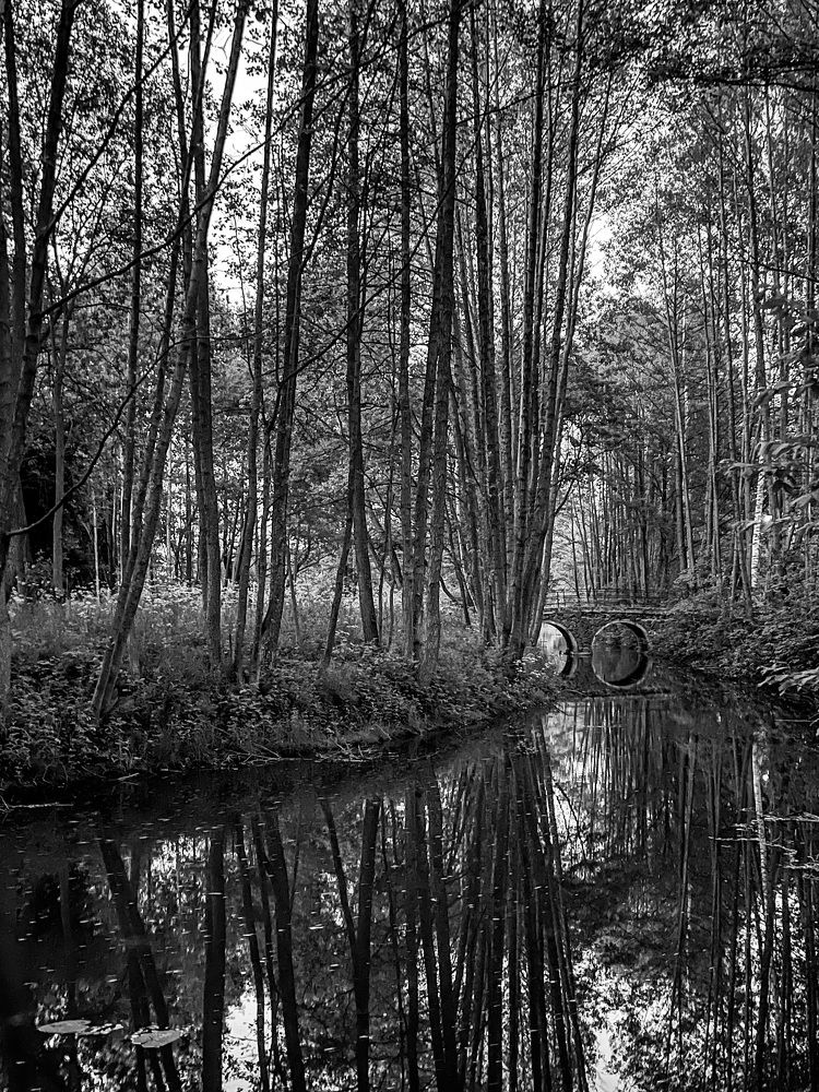 Photograph by Вера Рудик