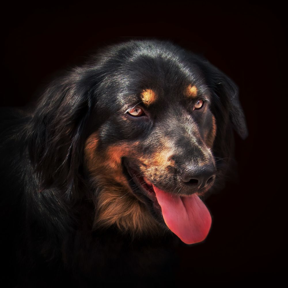 Photograph by Татьяна Колесникова