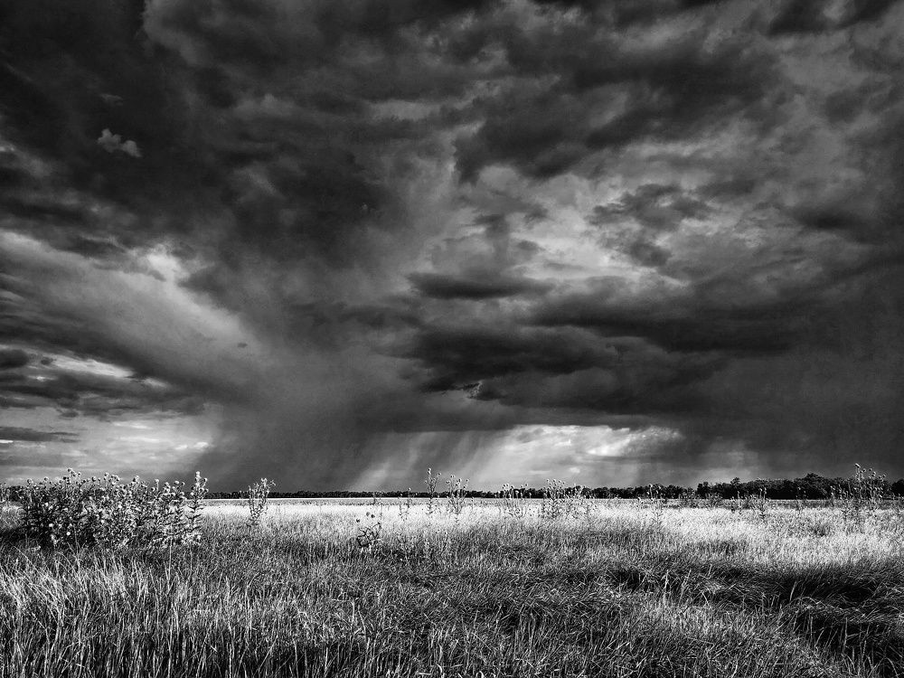 Photograph by Елена Артёменко