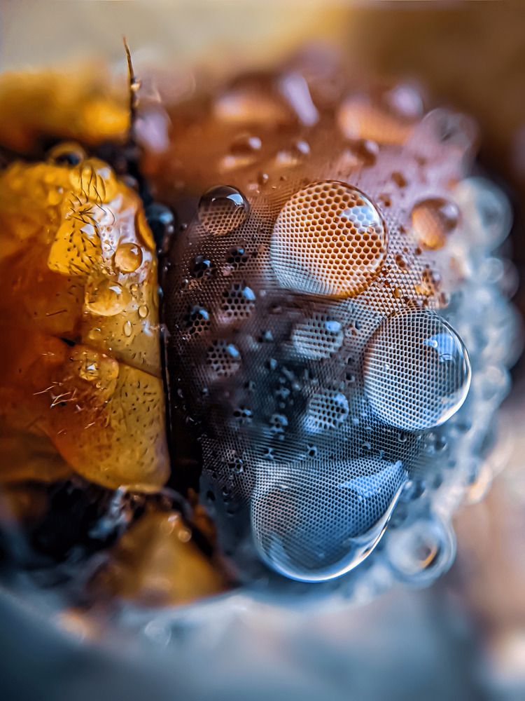 Photograph by kiran M