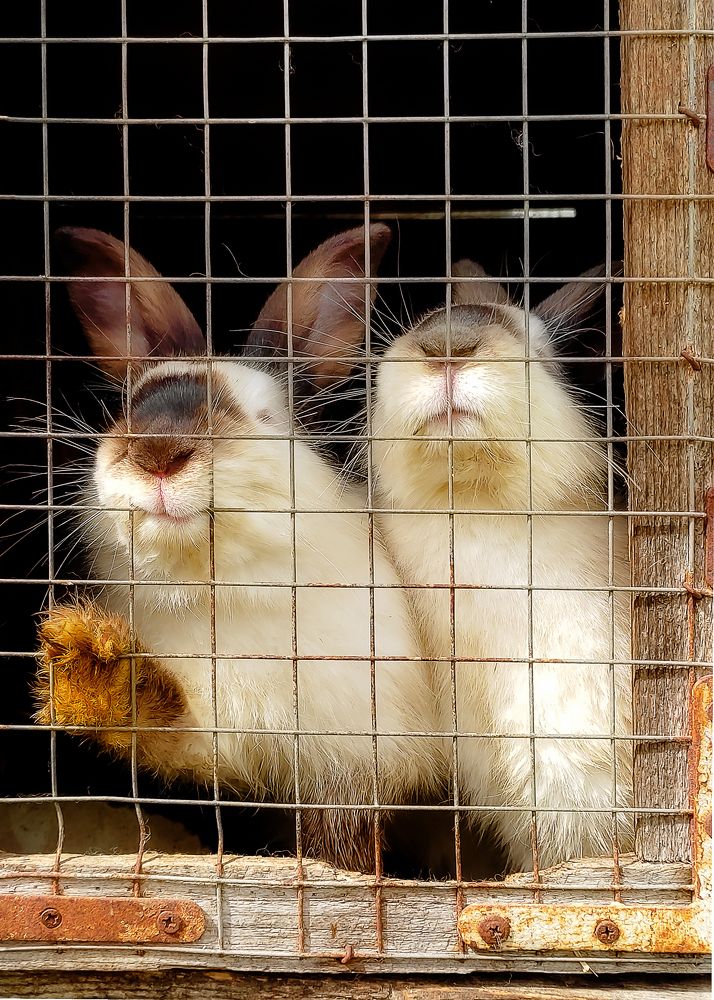 Photograph by Margarita