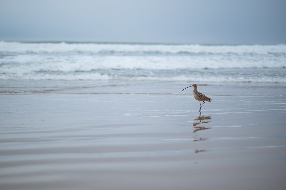 Photograph by Anna Vlasova