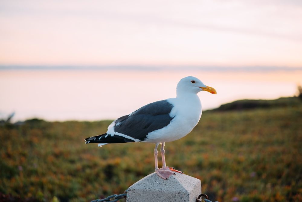 Photograph by Anna Vlasova