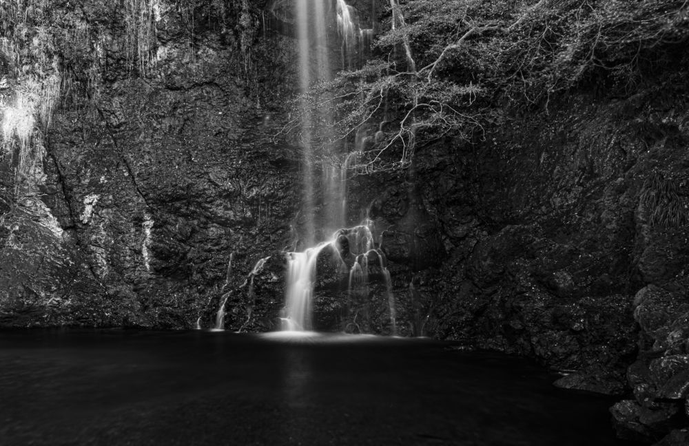 Photograph by Thu Cao