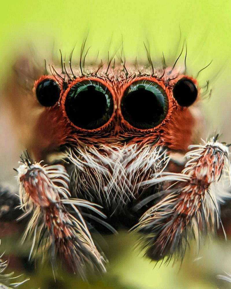 Photograph by kiran M