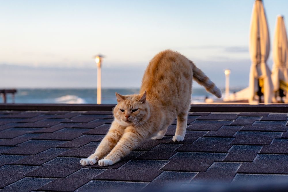 Photograph by Галина Аскольдовна Луковникова