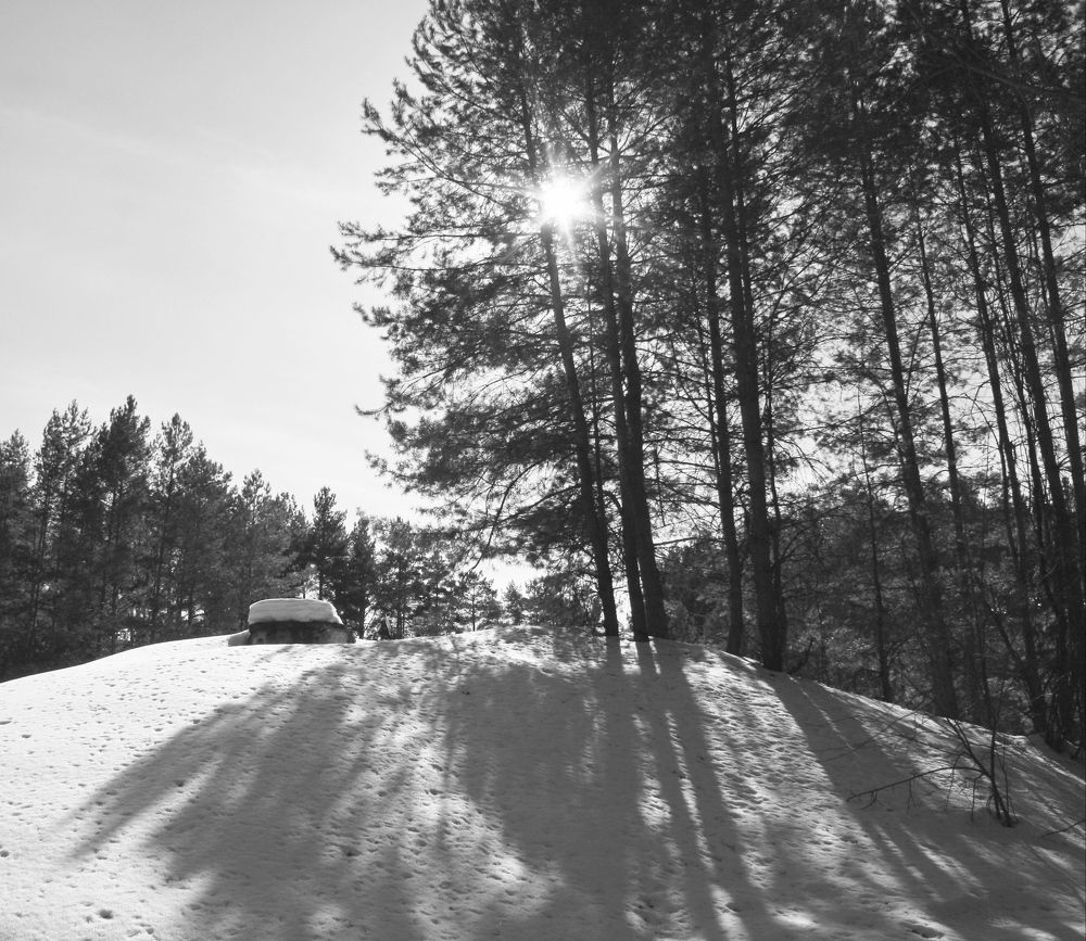 Photograph by Кунц