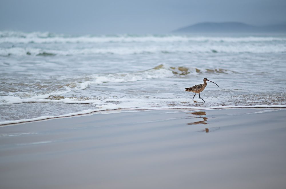 Photograph by Anna Vlasova