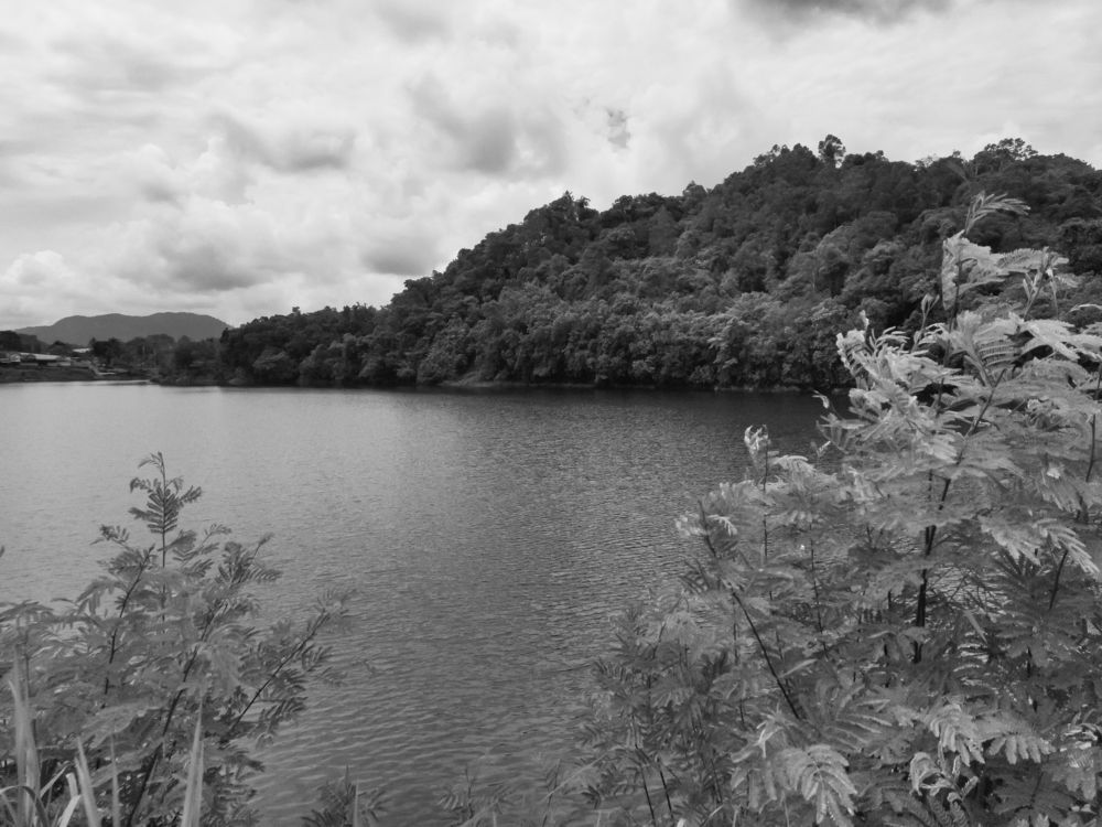 Photograph by Terence Ignatius