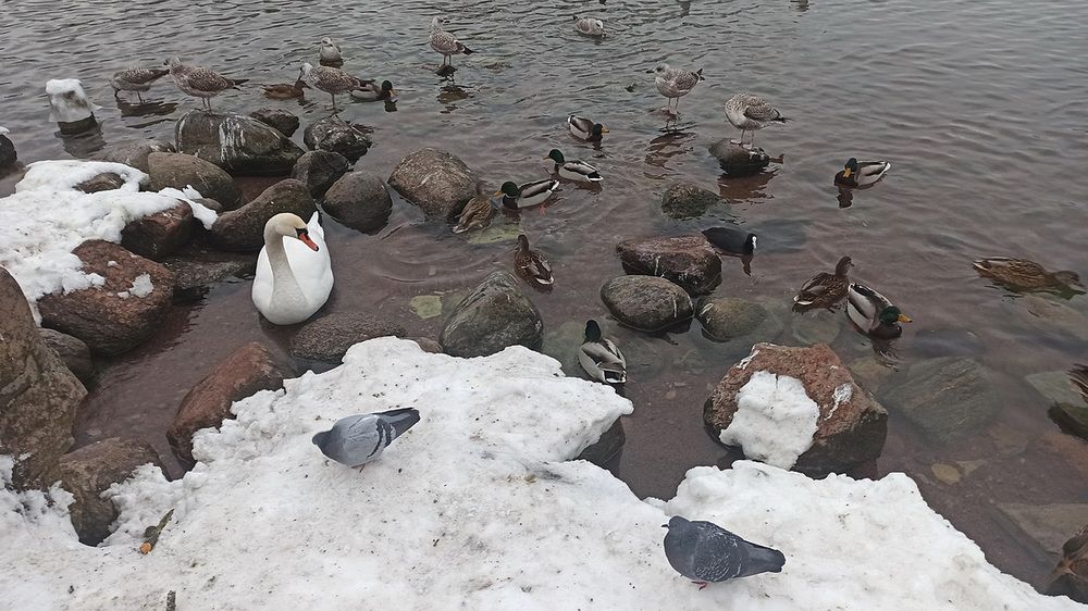 Photograph by Владимир Гашнев