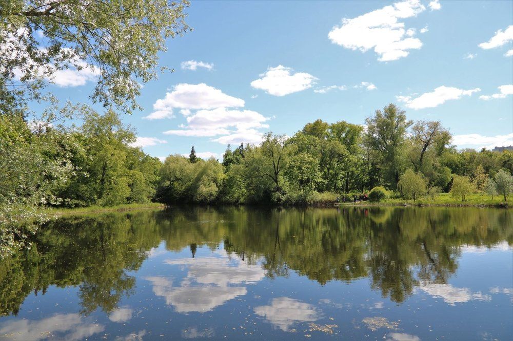 Photograph by Минеев Александр