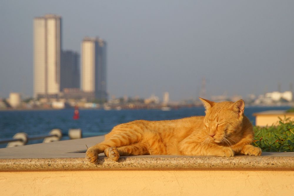 Photograph by Павел Колеснев