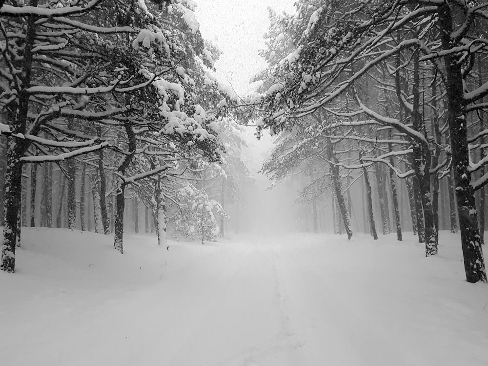 Photograph by Rolandas Valančauskas