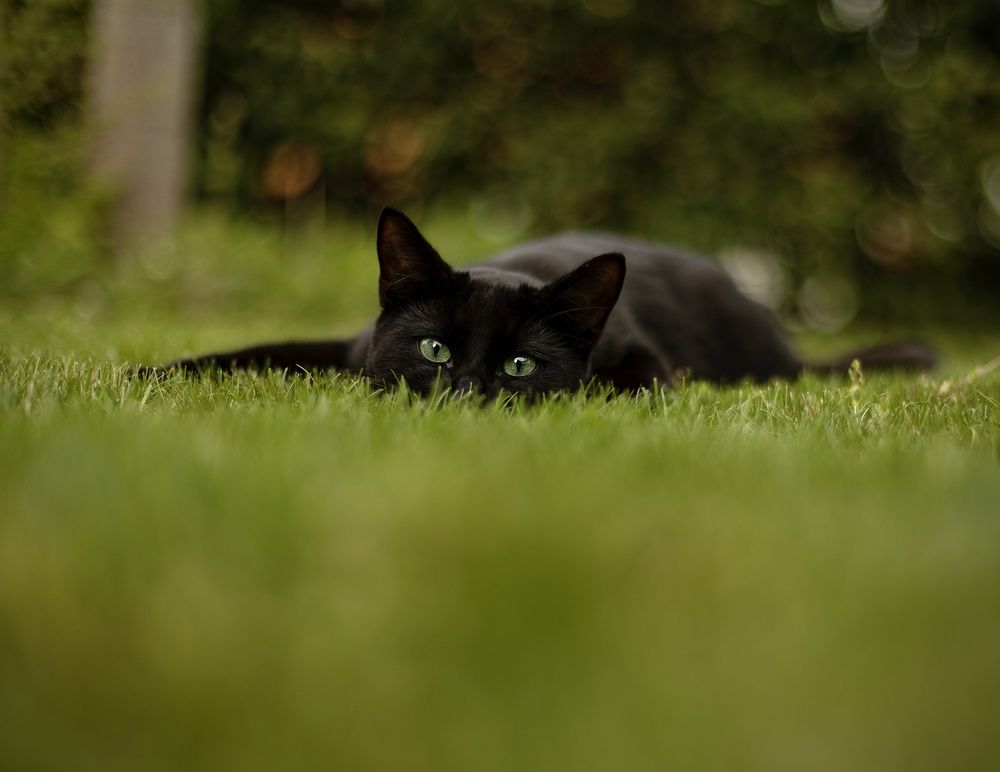 Photograph by Малика Маткарим