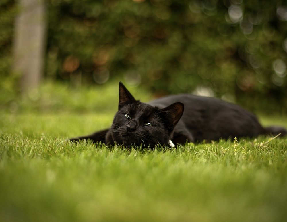 Photograph by Малика Маткарим