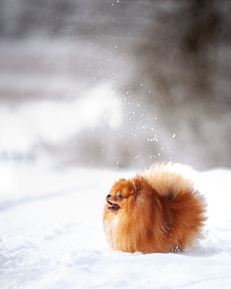 Photograph by Wiktor Kulesa