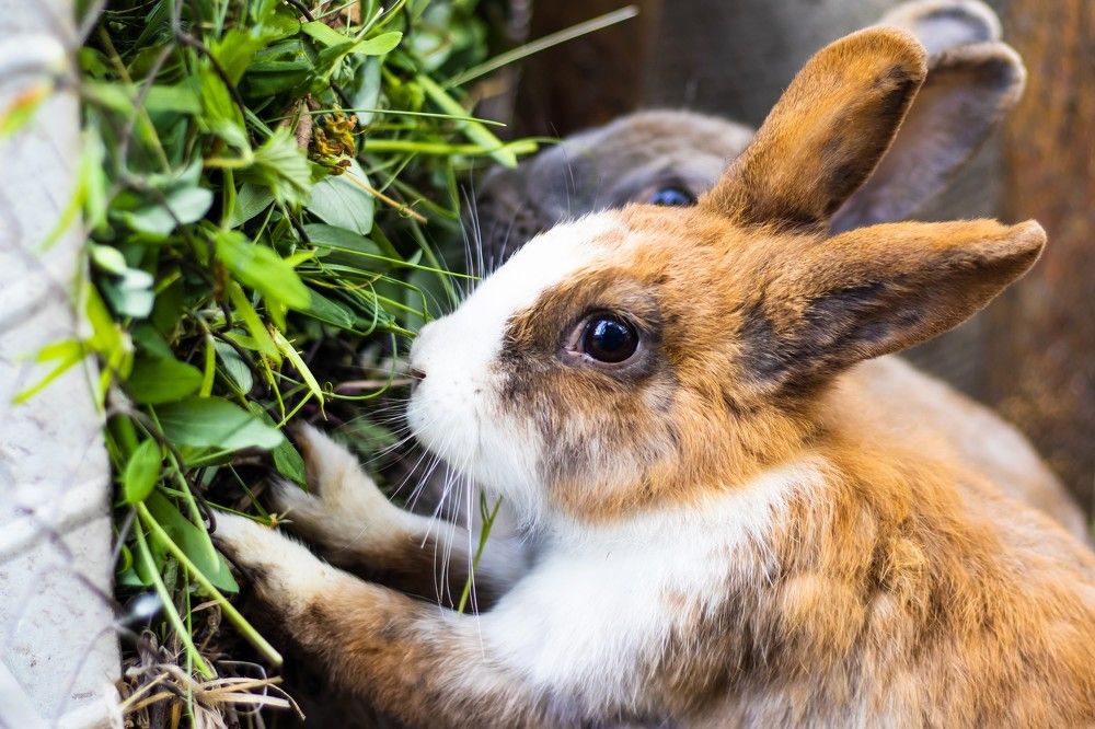 Photograph by Юлия Гольцман