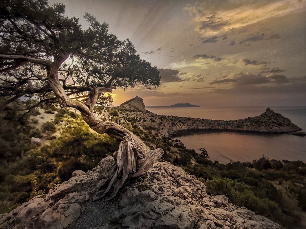 нежные краски утра