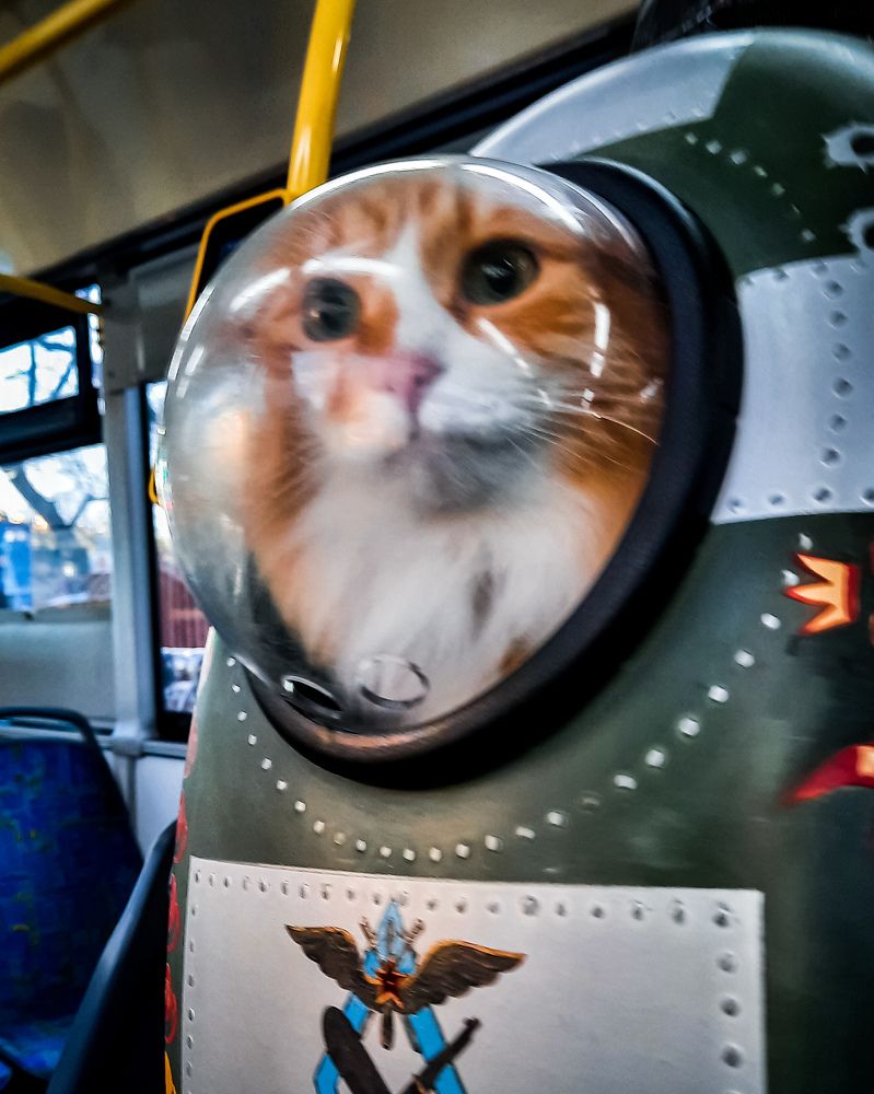 Photograph by Светлана Моисеева