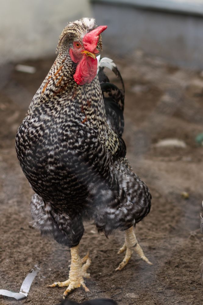 Фотография автора Алёна Подгорная