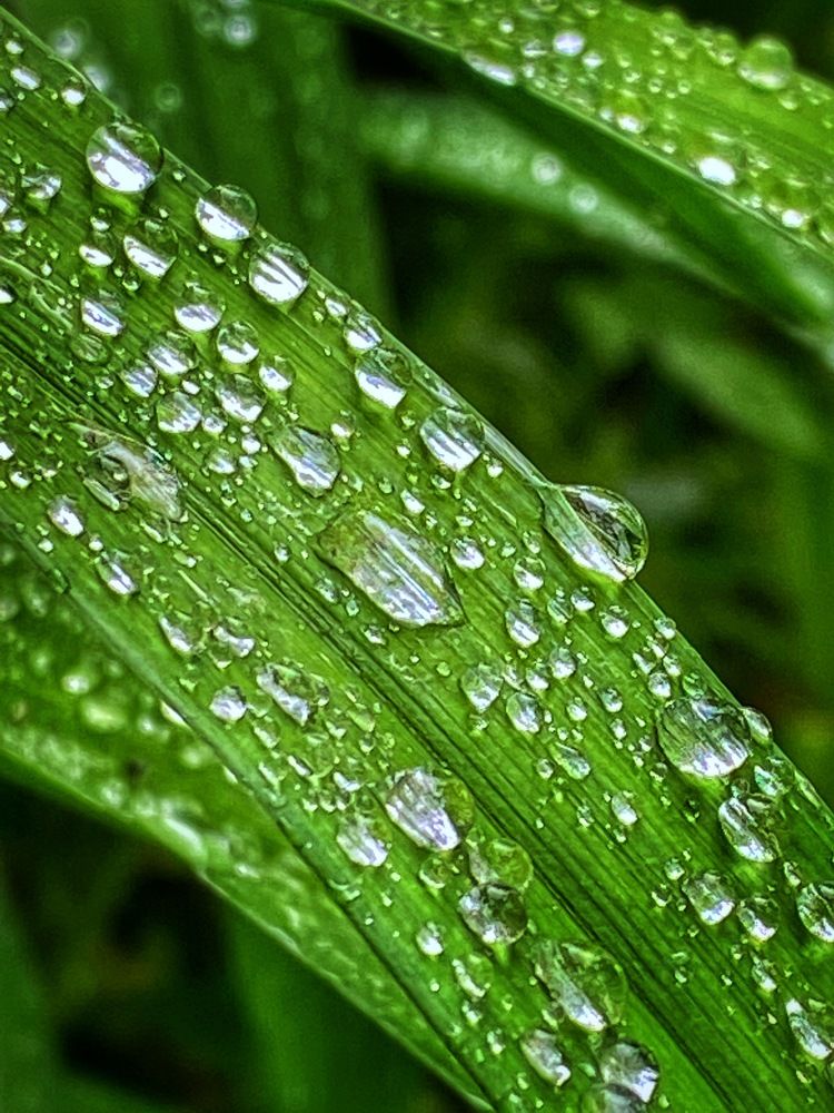 Photograph by Николай Чухрай