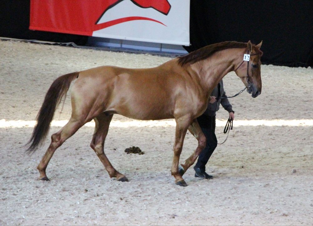 Фотография автора Юлиана Чудакова