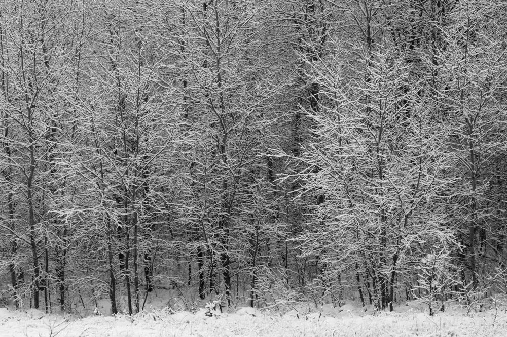 Фотография автора Vadim Svirin