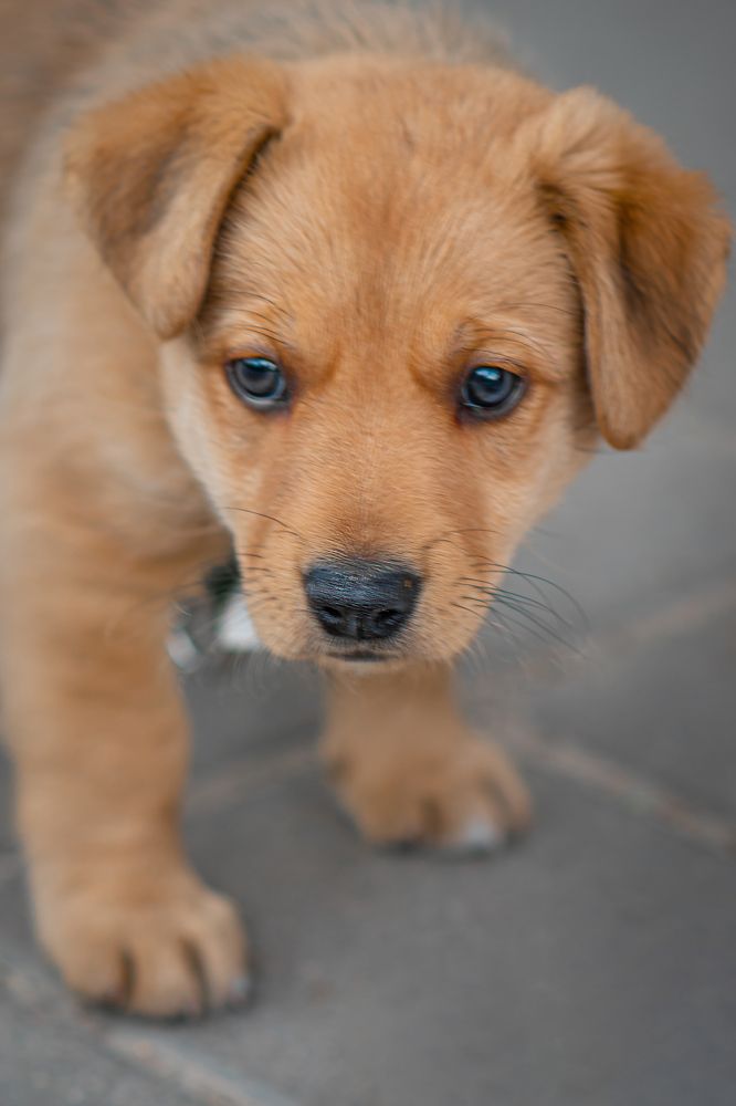 Photograph by Aliaksandra Klimchuk