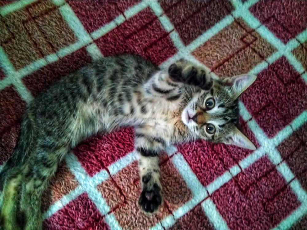 Photograph by Анастасия Игошина