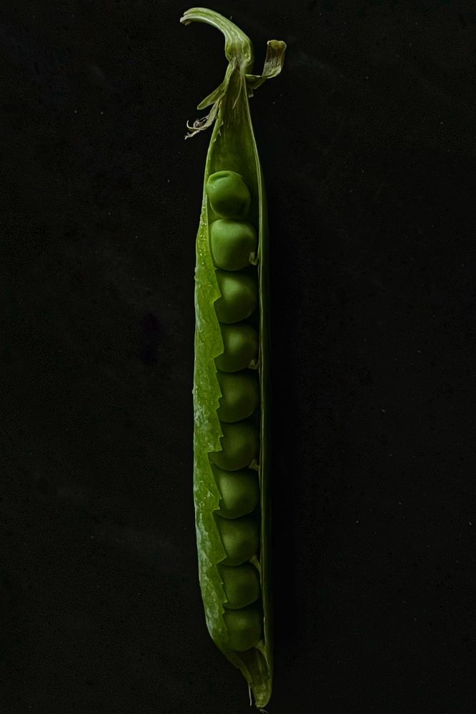 Photograph by Петина Ольга