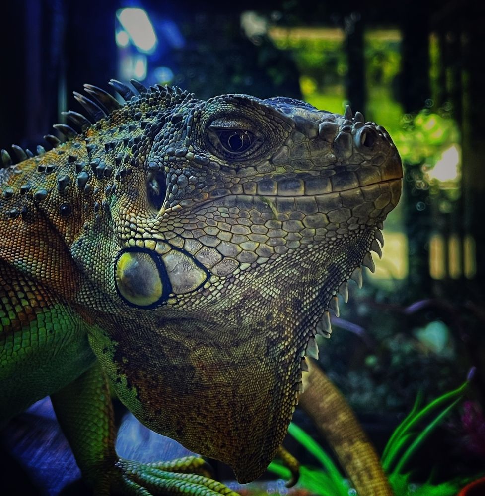 Photograph by Петина Ольга