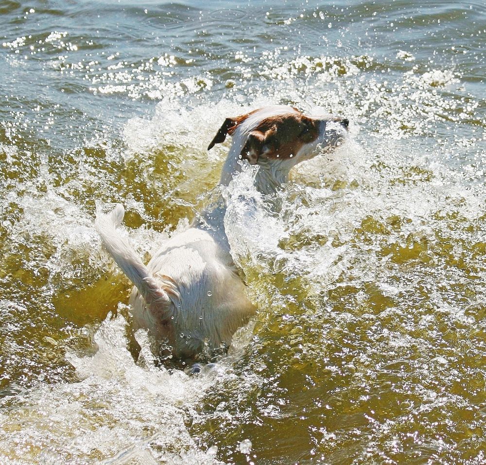 Photograph by Кунц