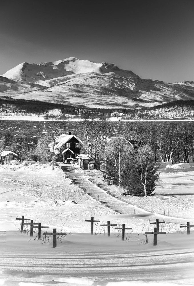 Photograph by Mahmud Tareq Hassan Khan