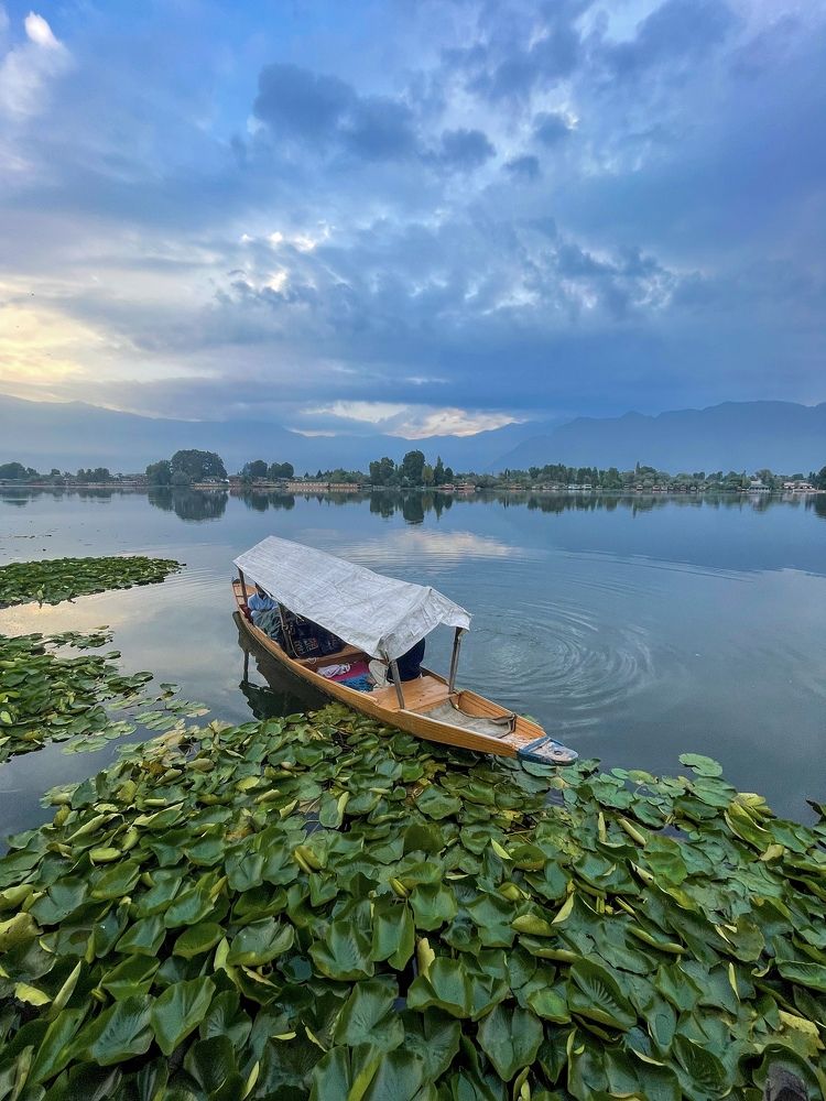 The beauty of Dal Lake