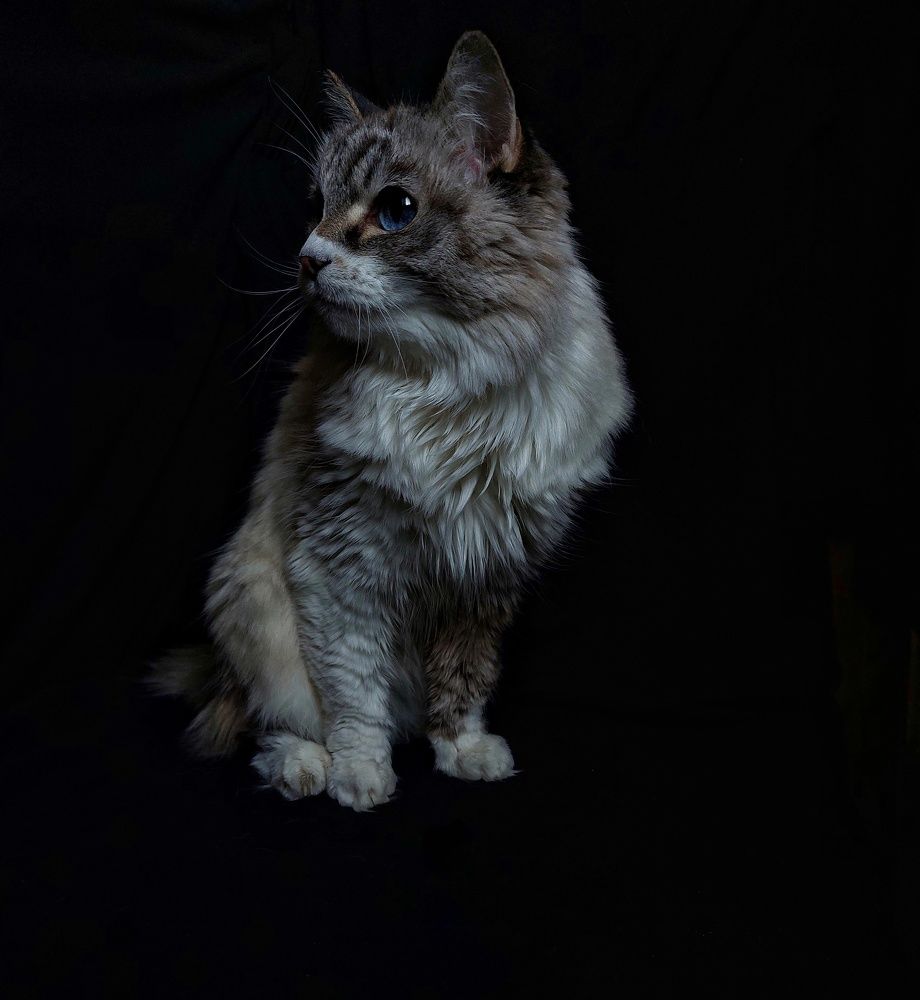 Photograph by Светлана Шиляева