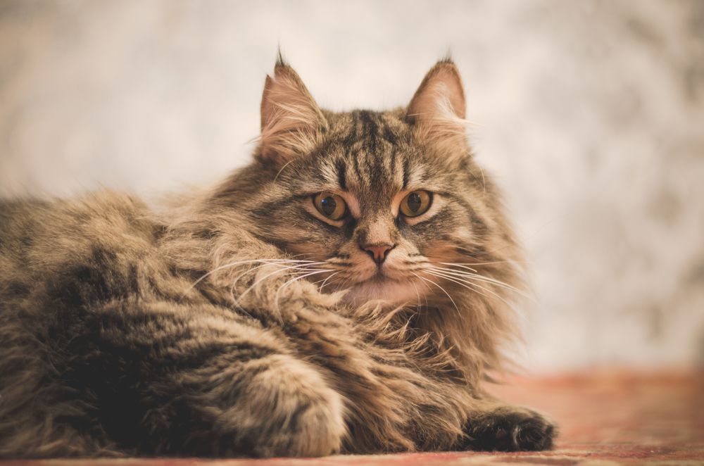 Photograph by Виталий Дрынов